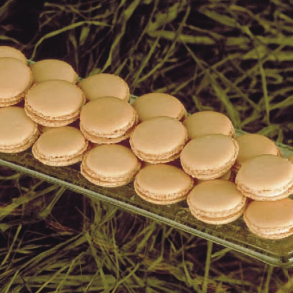Macarons au café - JJ Borne